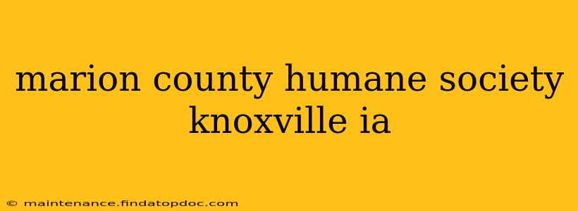 marion county humane society knoxville ia