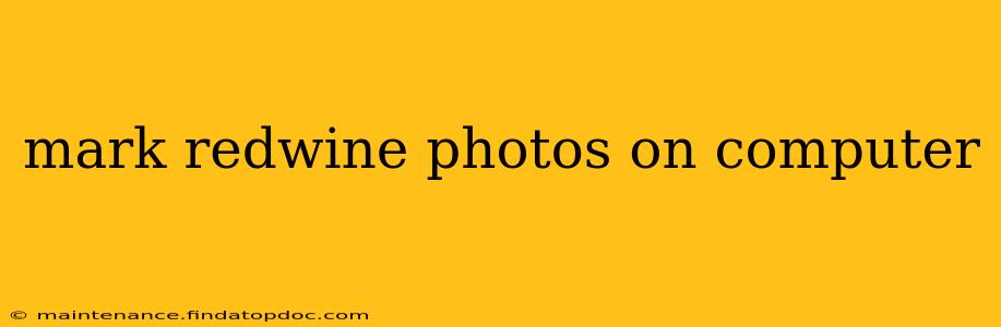 mark redwine photos on computer