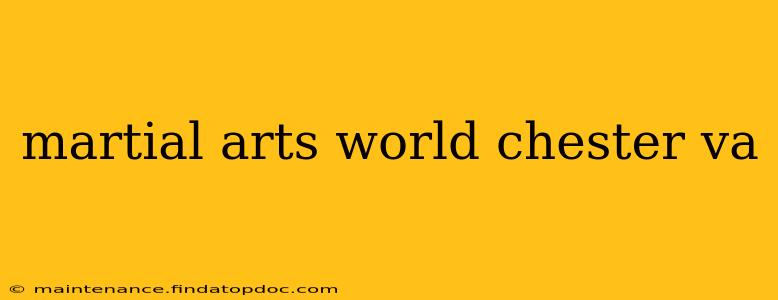 martial arts world chester va
