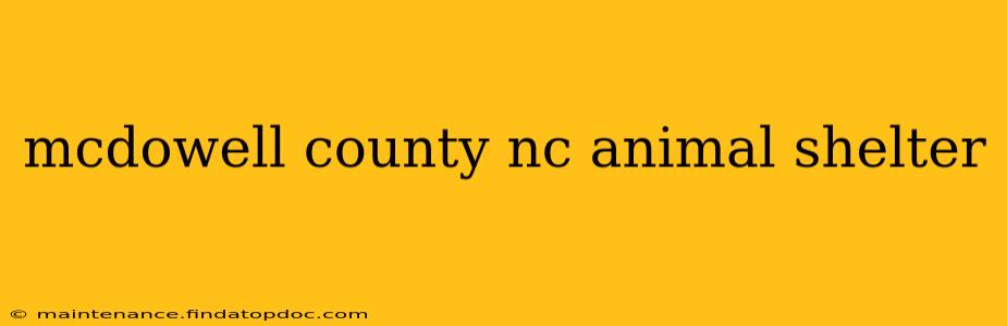 mcdowell county nc animal shelter
