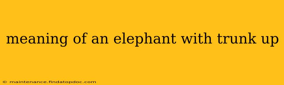 meaning of an elephant with trunk up