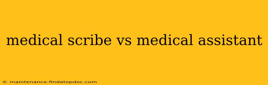 medical scribe vs medical assistant