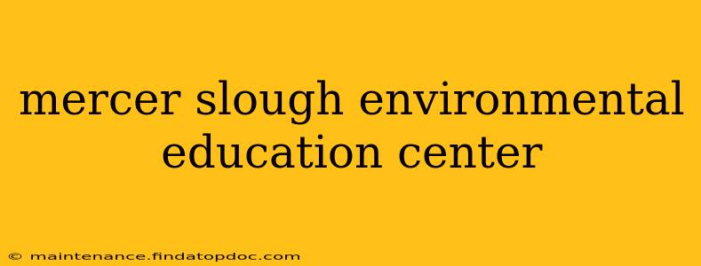 mercer slough environmental education center