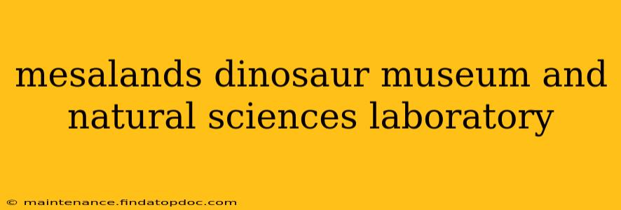 mesalands dinosaur museum and natural sciences laboratory