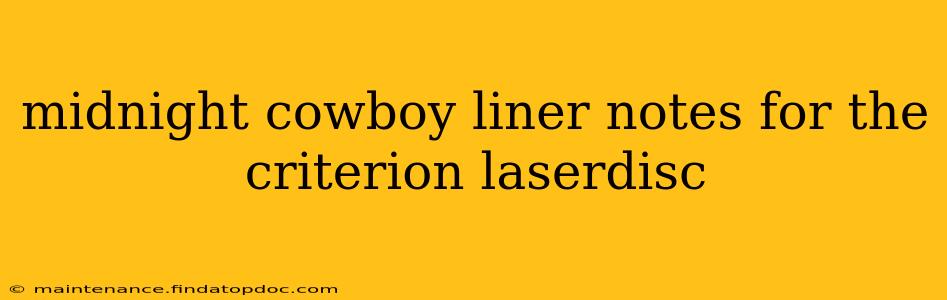 midnight cowboy liner notes for the criterion laserdisc