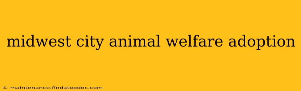midwest city animal welfare adoption