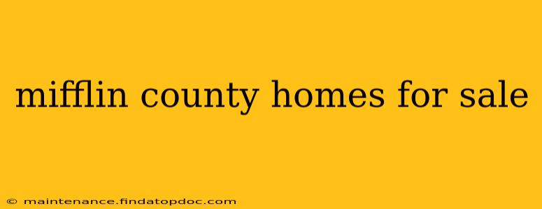 mifflin county homes for sale