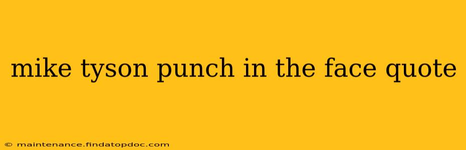 mike tyson punch in the face quote