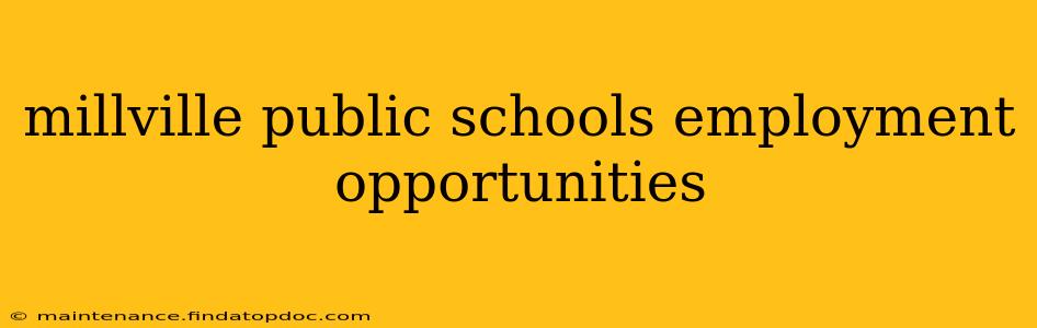 millville public schools employment opportunities