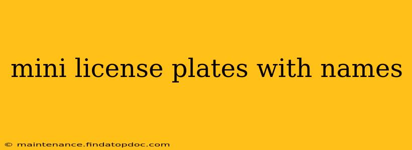 mini license plates with names