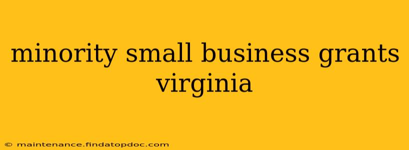 minority small business grants virginia