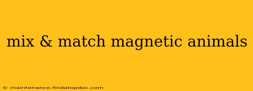 mix & match magnetic animals