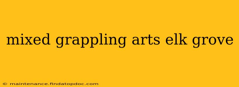 mixed grappling arts elk grove