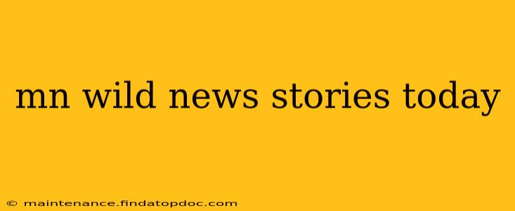 mn wild news stories today