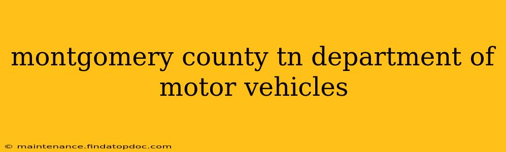 montgomery county tn department of motor vehicles