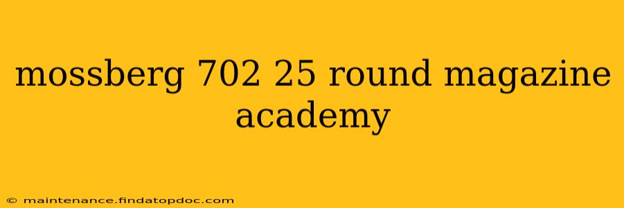 mossberg 702 25 round magazine academy