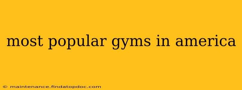 most popular gyms in america