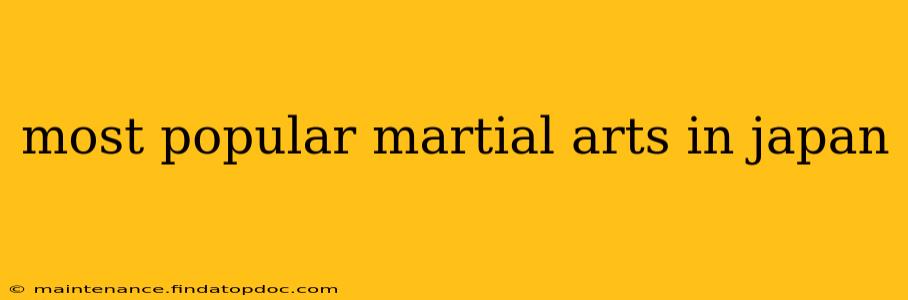 most popular martial arts in japan
