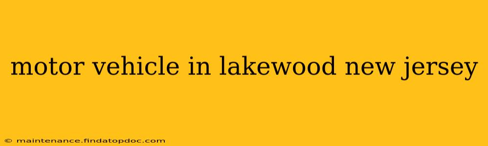 motor vehicle in lakewood new jersey