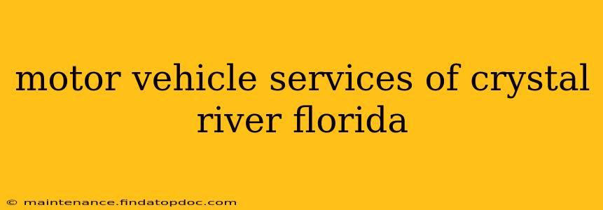 motor vehicle services of crystal river florida