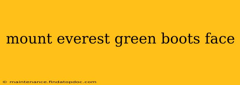mount everest green boots face