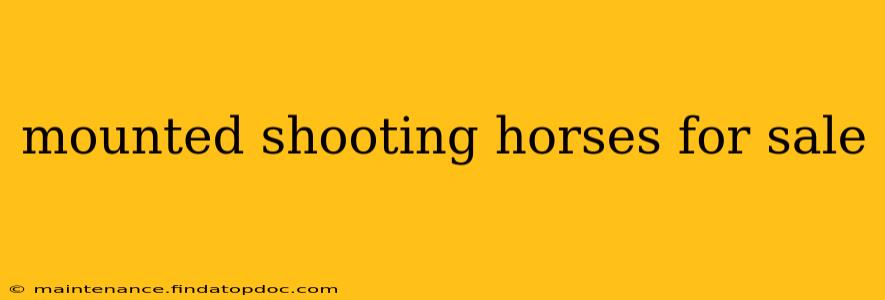 mounted shooting horses for sale