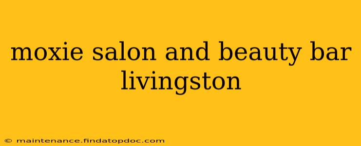 moxie salon and beauty bar livingston