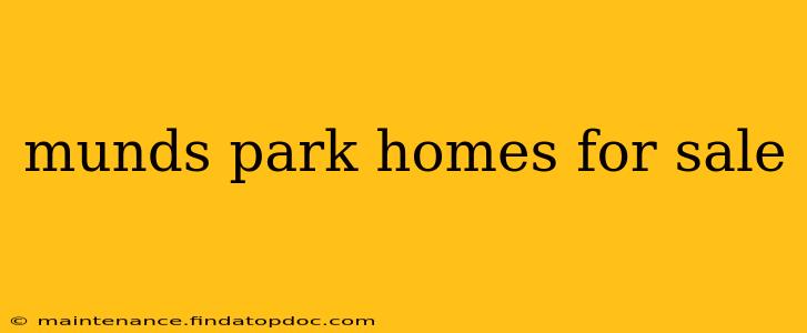 munds park homes for sale