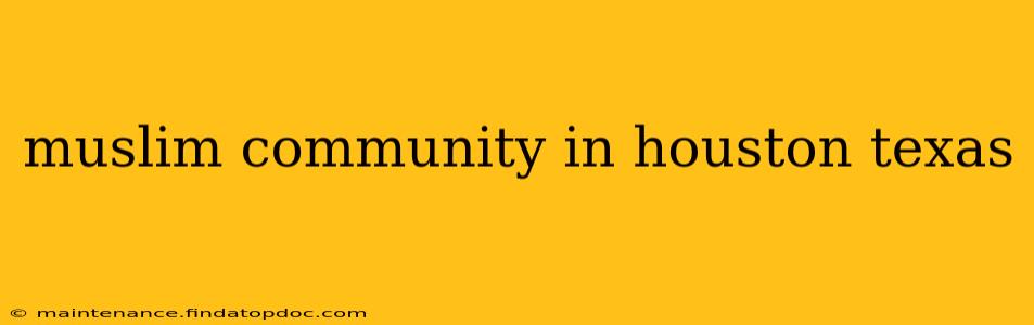 muslim community in houston texas