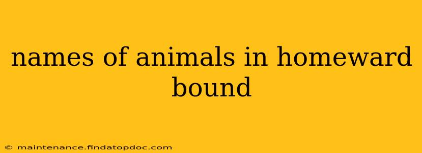names of animals in homeward bound