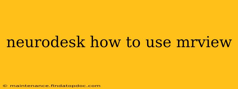 neurodesk how to use mrview