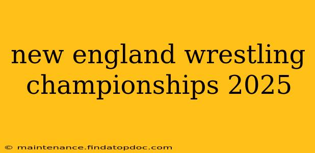 new england wrestling championships 2025