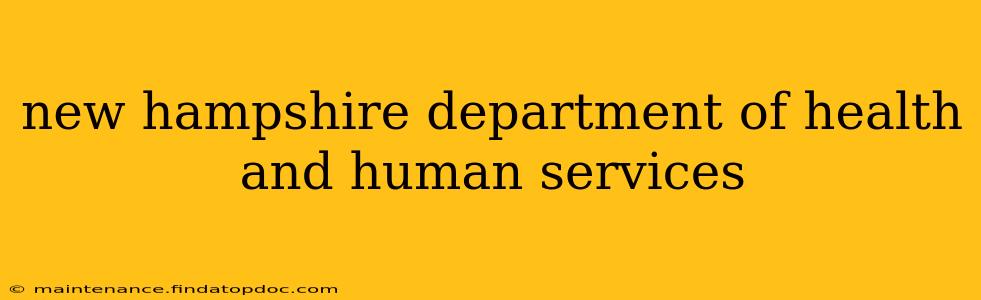 new hampshire department of health and human services
