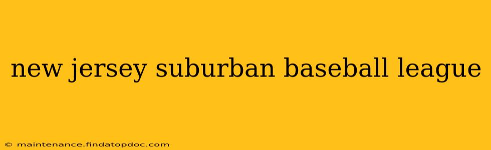 new jersey suburban baseball league