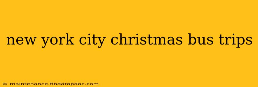 new york city christmas bus trips