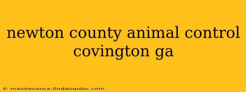 newton county animal control covington ga