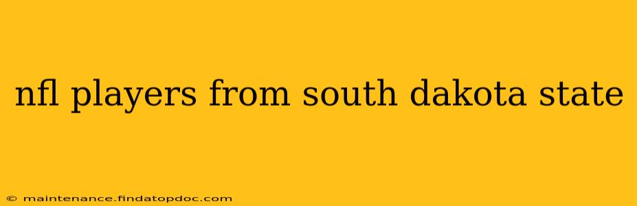 nfl players from south dakota state