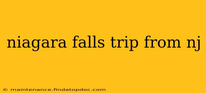 niagara falls trip from nj