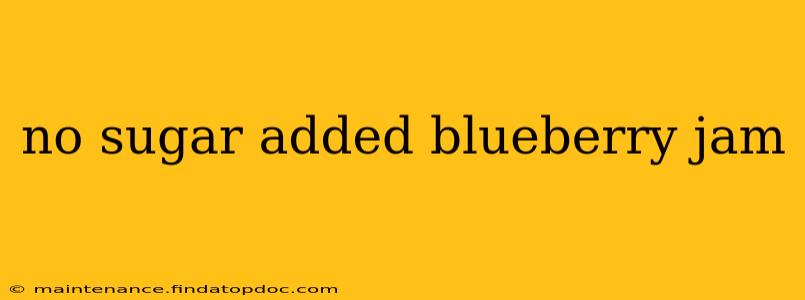 no sugar added blueberry jam