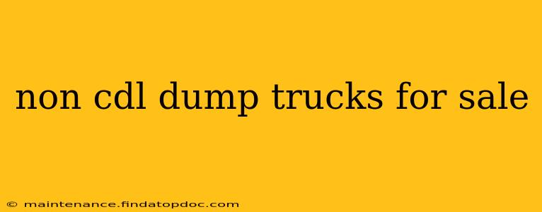 non cdl dump trucks for sale