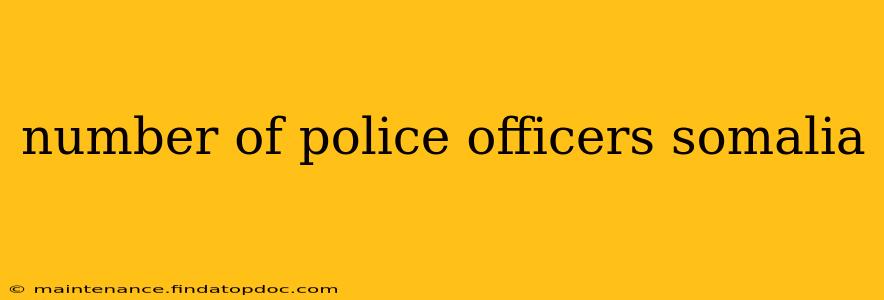 number of police officers somalia