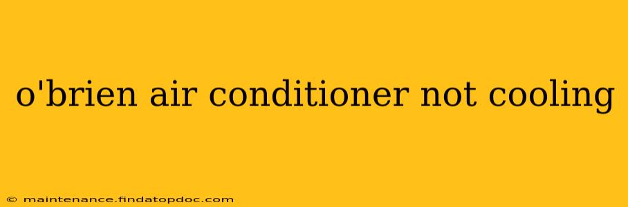 o'brien air conditioner not cooling