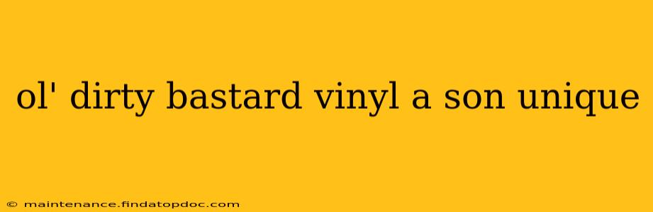 ol' dirty bastard vinyl a son unique