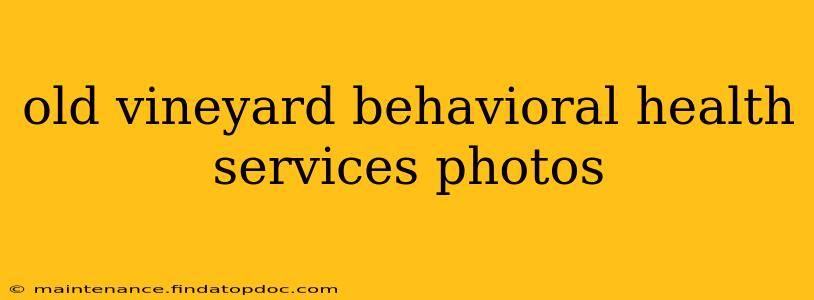 old vineyard behavioral health services photos