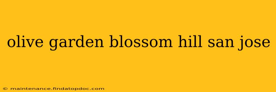 olive garden blossom hill san jose