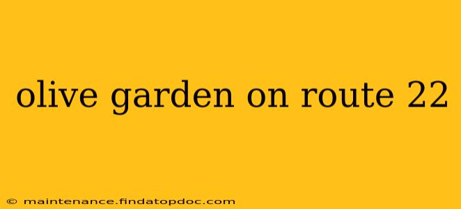 olive garden on route 22