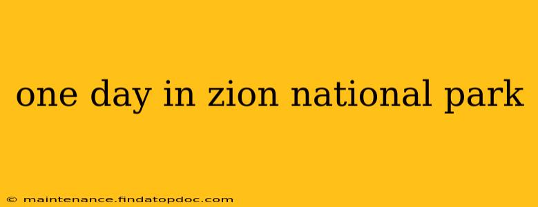 one day in zion national park