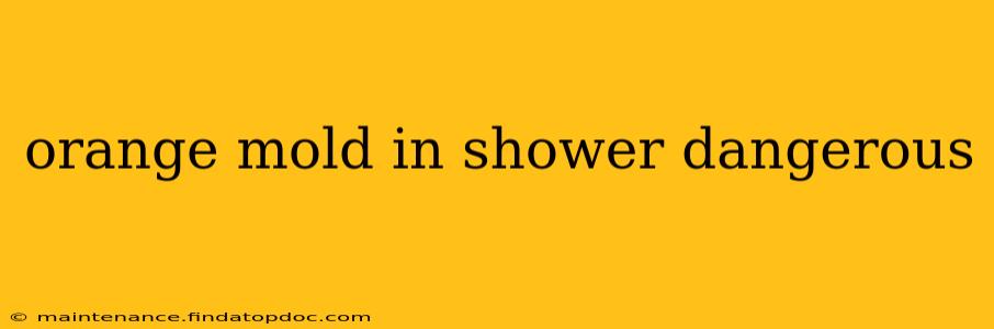 orange mold in shower dangerous