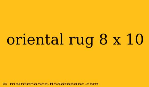 oriental rug 8 x 10