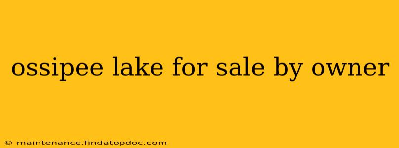 ossipee lake for sale by owner